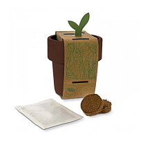 Hot-but-cool beker met basilicum zaadjes
